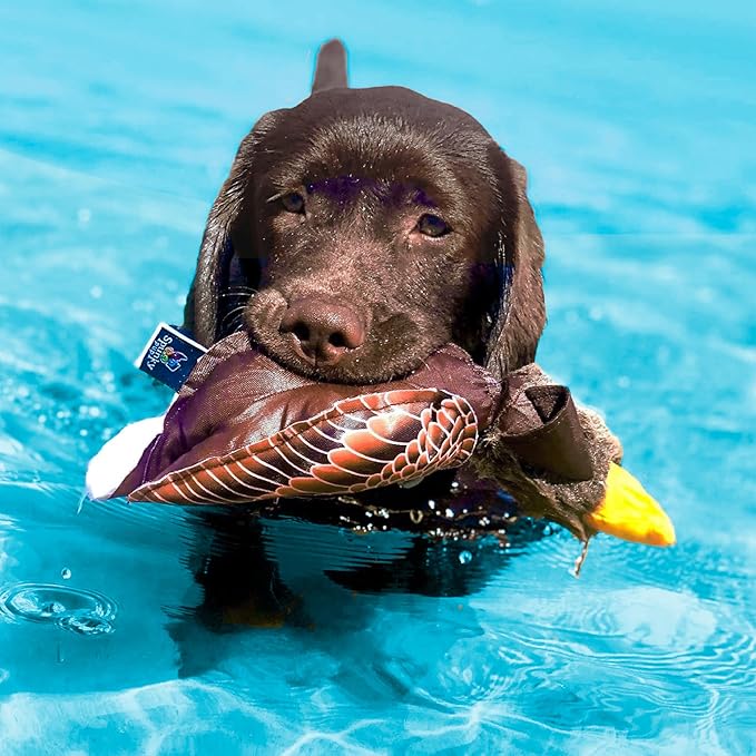Spunky pup Fly & Fetch Plush Eagle Dog Toy | Interactive 100 ft Sling Shot Launcher with Built-In Bungee | Pull Back & Release | Durable Construction | Ballistic Fabric | Floats | For Medium Breeds