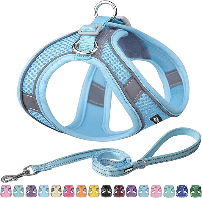 AIITLE Comfortable Dog Harness and Leash Set for Walking - Summer Step in Vest Harness,Reflective Bands, Adjustable No Pull Puppy Essentials, for Small Dogs and House Cats Pure Blue XS