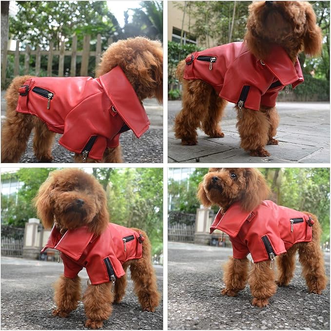 Lovelonglong Cool Dog Leather Jacket, Warm Coats Dogs Windproof Cold Weather Coats for Large Medium Small Dogs, Bichon Clothing Red XL