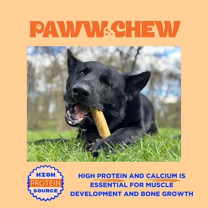 PAWW CHEW Himalayan Yak Chews for Small Dogs - 100% Natural Long Lasting Dog Treat, (Small - 8 Pack) Odorless, High Protein Yak Cheese, Limited Ingredient Yak Bones for Small Dogs