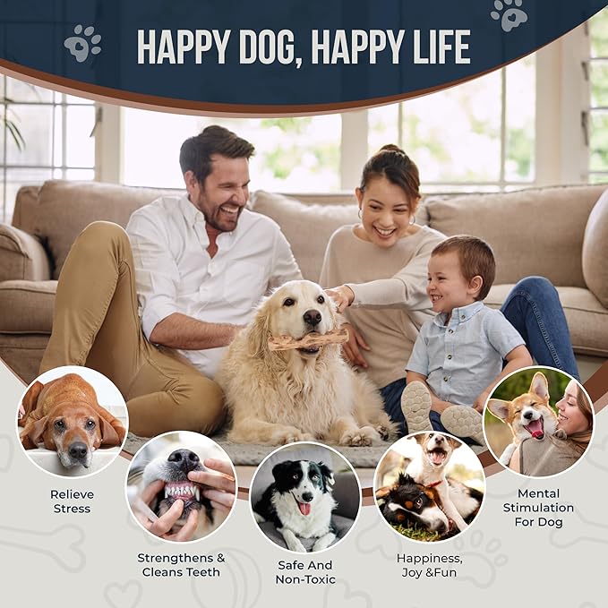Coffee Wood Chew and Cotton Rope Toy for Dogs - 100% Natural, Organic Wood Stick for Chewers Teeth Cleaning, Training - Size M