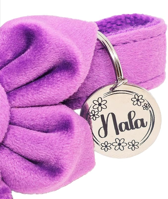 Lifetime Custom Engraved Dog ID Tag – Stainless Steel Pet Tag for Dogs & Cats, Double-Sided Personalization | Fits Collar, Harness, Leash