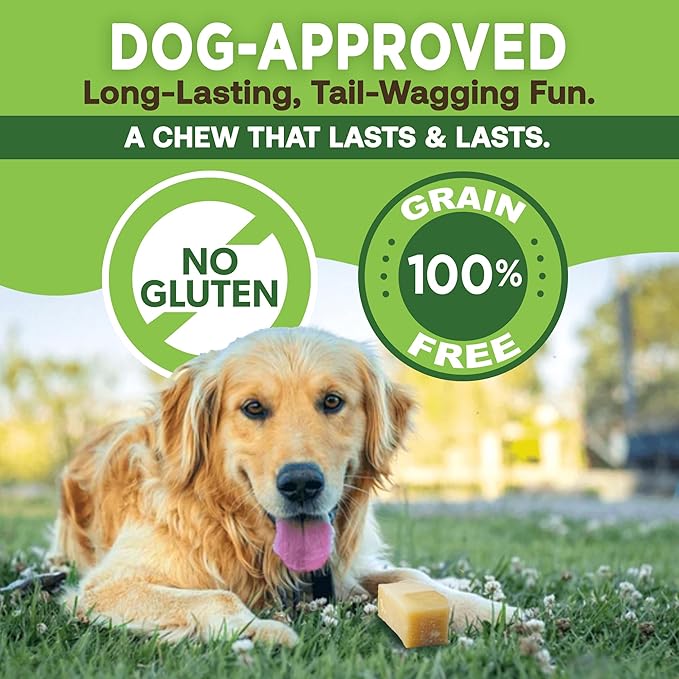EcoKind Premium Gold Yak Cheese Himalayan Dog Chews, Healthy Dog Treats for Medium Dogs, All Natural, Long Lasting Dog Chew for Aggressive Chewers, High Protein Treat, Medium - 35+ Chews (5 lbs)