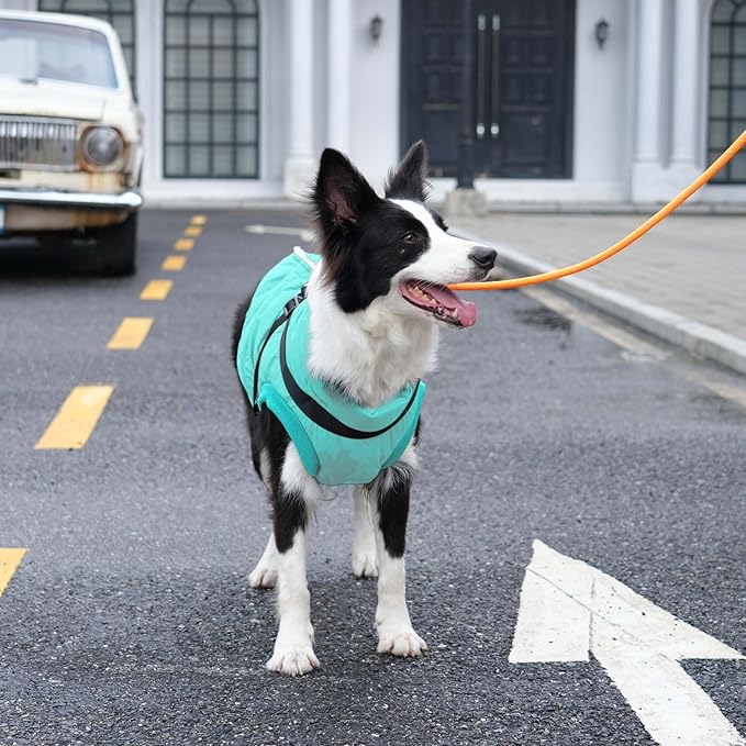 Dog Jacket with Harness,Fleece Lined Warm Puppy Coat for Winter,Soft Windproof Large Dog Vest,Bluegreen XXXL