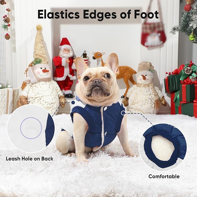Fleece Lining Extra Warm Dog Hoodie in Winter,Small Dog Jacket Puppy Coats with Hooded,Beige and Blue S