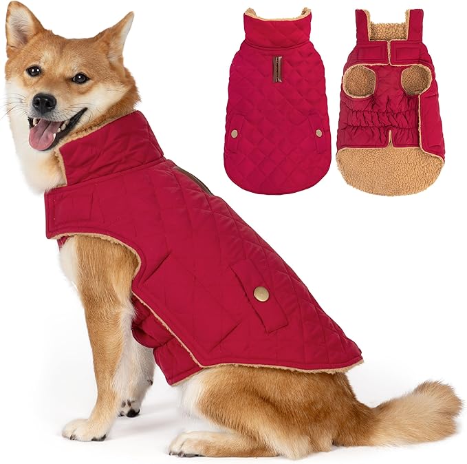 Dog Winter Coat, Dog Jacket with Warm Fleece Lined, Waterproof Windproof Dogs Cold Weather Coats Clothes for Puppy Dogs Snowsuit with Leash Hole, Red Small