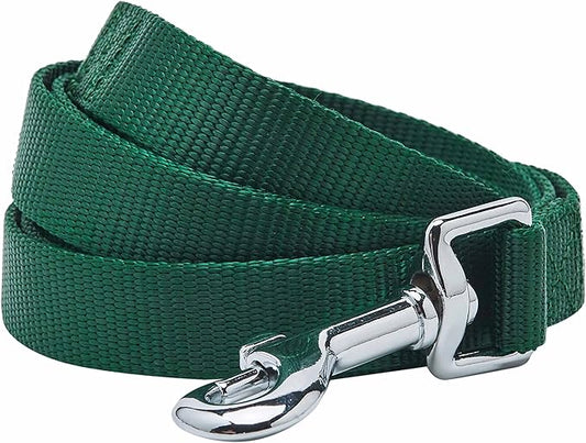 Blueberry Pet Essentials | Verdant Green Nylon Leash, 5ft x 3/4" | Lightweight & Durable for Training| Standard Dog Leashes & Lightweight Dog Leash for Training