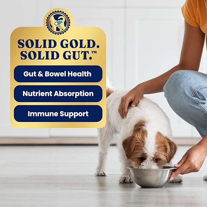 Solid Gold Sensitive Stomach Wet Dog Food for Adult & Senior Dogs - Grain Free Wet Dog Food w/Real Chicken, Salmon, Probiotics & Superfoods for Gut Health & Sensitive Stomach Support -6ct 12.5oz Cans