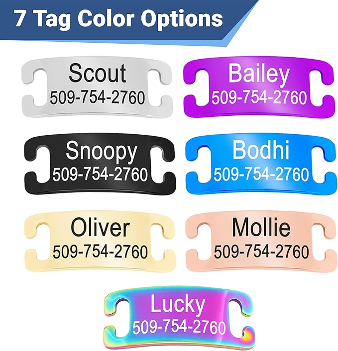 GoTags Personalized Cat Collars with Tag, Engraved Custom Cat Collar with Name and Phone, Breakaway Collar with Safety Buckle and Bell, Adjustable for Cats and Kitten (Black with Nameplate)