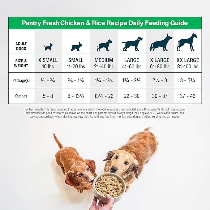 JustFoodForDogs Pantry Fresh Wet Dog Food, Complete Meal or Topper, Chicken & White Rice Human Grade Recipe - 12.5 oz (Pack of 6)