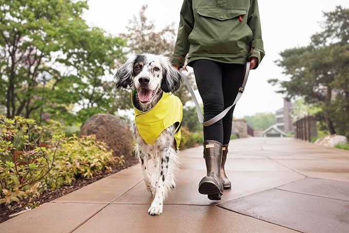 Goldpaw Rainpaw Waterproof Dog Raincoat - Durable Dog Rain Jacket for All Seasons - Easy to Wear, Adjustable, Premium Pet Outerwear - Made in The USA - Machine Washable - Red - Size 24