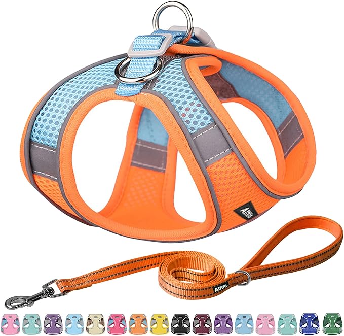 AIITLE Easy Walk Dog Harness and Leash Set - Pet Supply No Pull, Step in Adjustable Pet Harnesses with Padded Vest for Summer, No Choke Over, Easy to Put on Medium Dogs Orange L