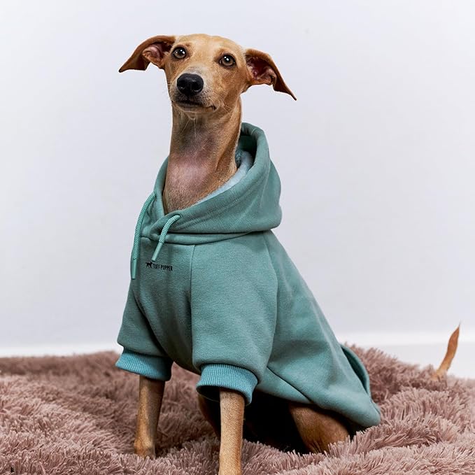 Tuff Pupper Dog Hoodie | Premium Quality 100% Organic Cotton | Ultra Soft Interior for Superior Comfort | Elastic Cuffs & Drawstring for Warmth | Stretch Fit Suitable for All Breeds (Teal, XXS)