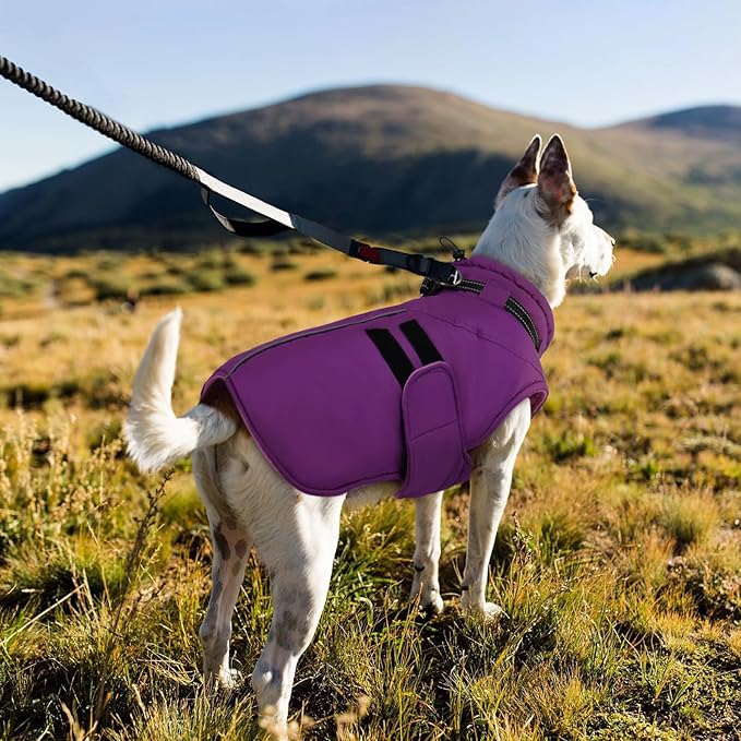 IECOii XXXL Dog Coat for Large Dogs Waterproof Dog Jacket with Collar Built in, Reflective Winter Jacket with Fleece Lined Warm Cold Weather Coats for Extra Large Dogs, Great Dane, Purple - 3XL