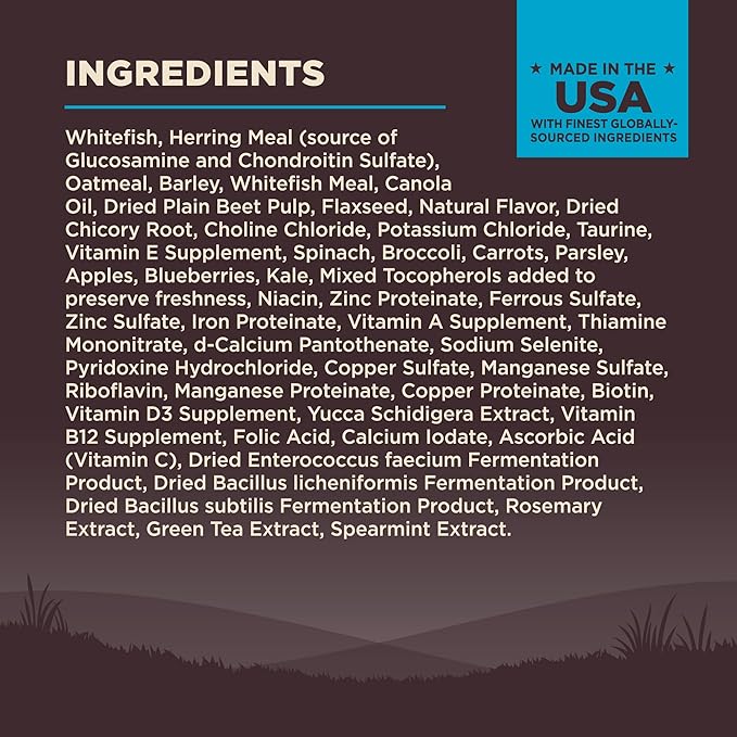 Wellness CORE Dry Dog Food, Wholesome Grains, High Protein, Natural, Ocean Whitefish & Herring Recipe, (22-Pound Bag)
