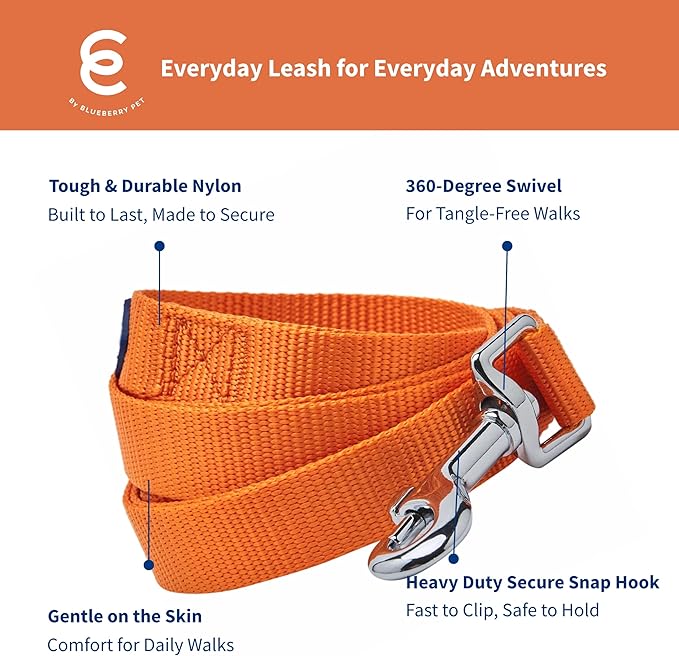 Blueberry Pet Essentials Orange Vermilion Dog Leash for Medium - Small -5' * 5/8" Dogs | Heavy Duty Nylon Lead | Lightweight Puppy & Cat Leash for Walking & Training