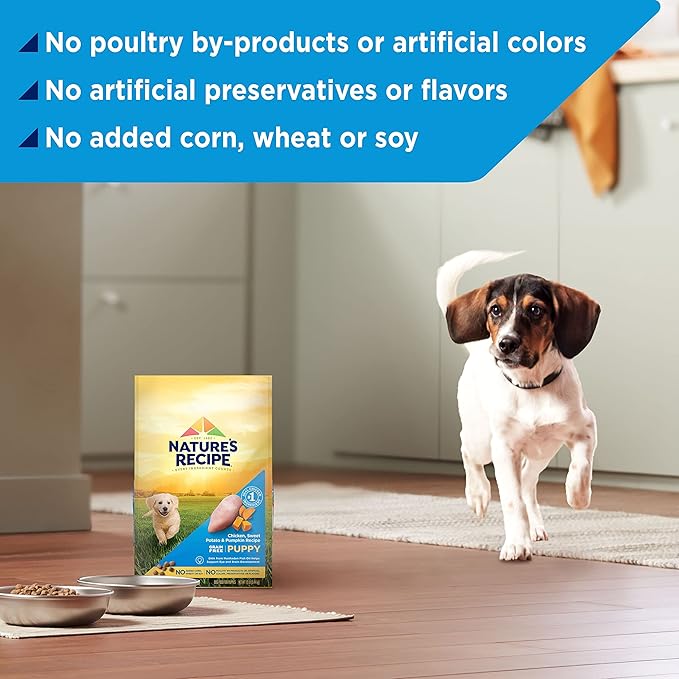 Nature′s Recipe Grain Free Puppy Chicken, Sweet Potato & Pumpkin Recipe Dry Dog Food, 12 lb. Bag