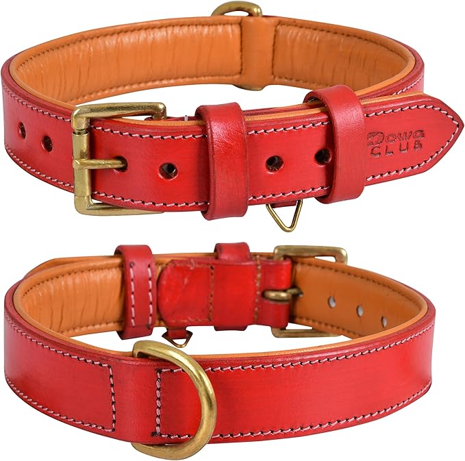 Genuine Leather Dog Collar | Full Grain, Heavy Duty, Comfortable, Padded, Strong | Best for Pups, Small, Medium, Large & XL Breeds (Large (Fit Neck Size 18.5"-22.5"), Red)