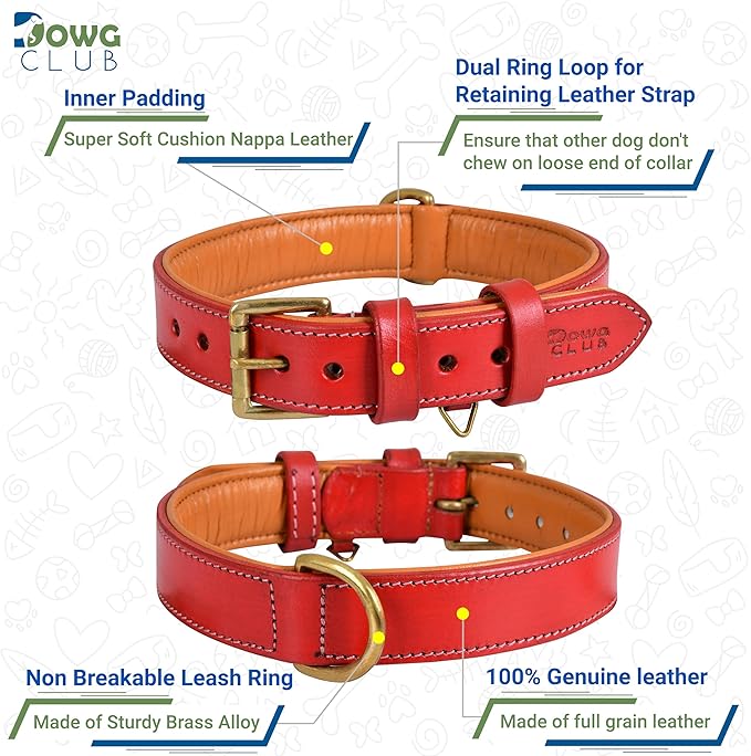 Leather Dog Collar for Medium Dogs, Red, 1 Inch Wide, Genuine Full Grain Leather, Heavy Duty with Soft Inner Padding, Comfortable and Durable (Medium (Fit Neck Size 14.5"-18.5"), Red)
