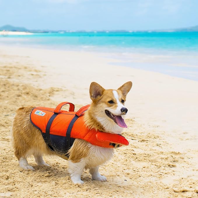 Outward Hound Granby Splash Dog Life Jacket, High-Buoyancy Dog Life Vest for Swimming, Boating, and Water Safety, XL, Orange