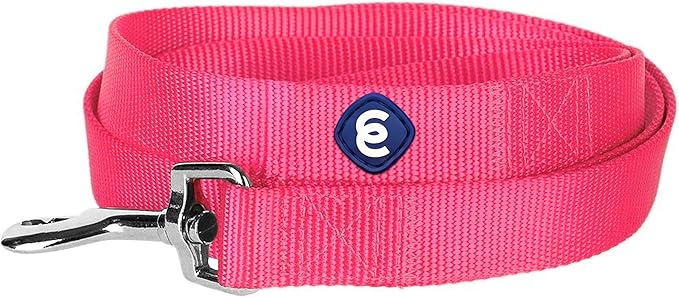 Blueberry Pet Essentials French Pink Dog Leash for Medium - 5' * 3/4" Dogs | Heavy Duty Nylon Lead | Lightweight Puppy & Cat Leash for Walking & Training
