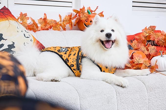 Aiboria Dog Jackets Windproof Outfit Coat Dog Vest Harness Puppy Warm Jacket Halloween Orange 3XL