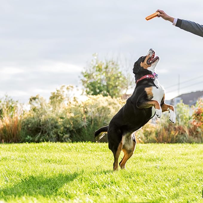 peaksNpaws Yak Cheese, High Protein, Himalayan Dogs Chews, Natural Dog Treats, Lactose Free, Long Lasting Dogs Treat for Aggressive Chewers Over 80 lbs, 3 Jumbo Chew Sticks