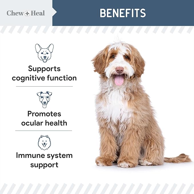 Senior Dog Vision and Cognition Chews - 60 Soft Chews for Dog Eye Care and Memory - 7-in-1 Multivitamin with Omega Fatty Acids, Vitamins, and Botanicals - Made in The USA