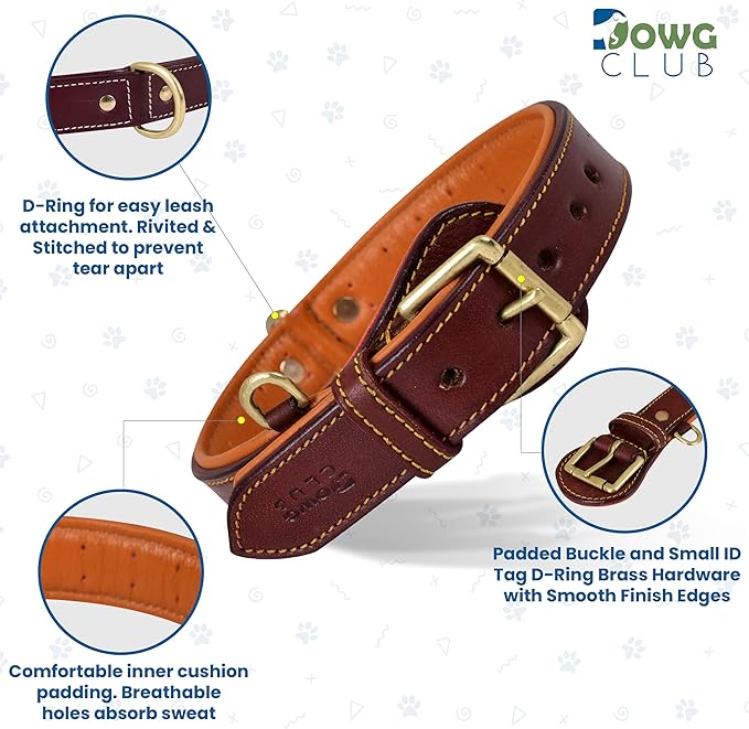 Genuine Leather Dog Collar – Full Grain, Breathable Inner Padding, Padded Buckle – Heavy Duty, Adjustable for Small, Medium, Large & XL Breeds | (X-Large (Fit Neck Size 22"-26"), Dark Brown)