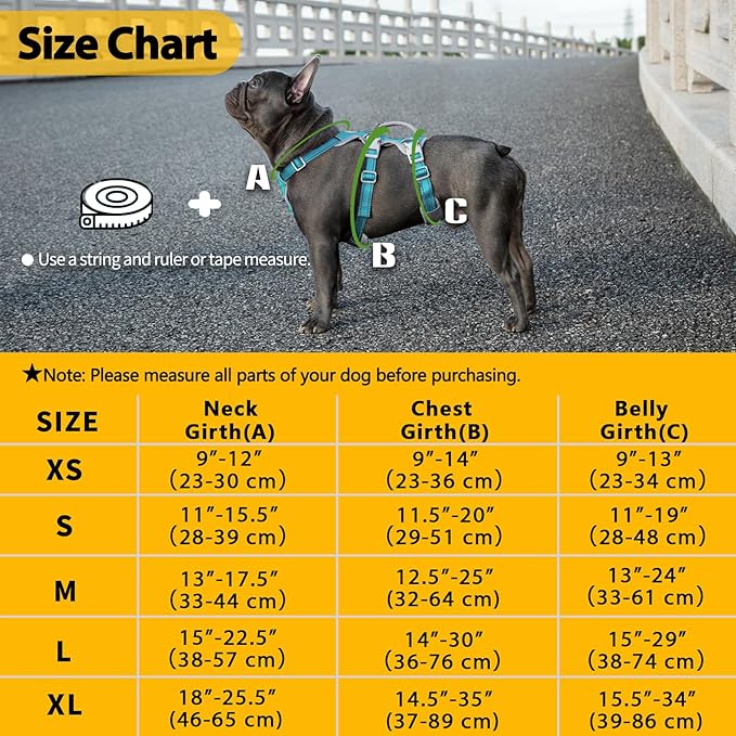 Huntboo Escape Proof Dog Harness, Escape Artist Harness, Fully Reflective Harness with Padded Handle, Breathable, Durable, Adjustable Vest for Small Dogs Walking, Training, and Running Gear (Teal,S)