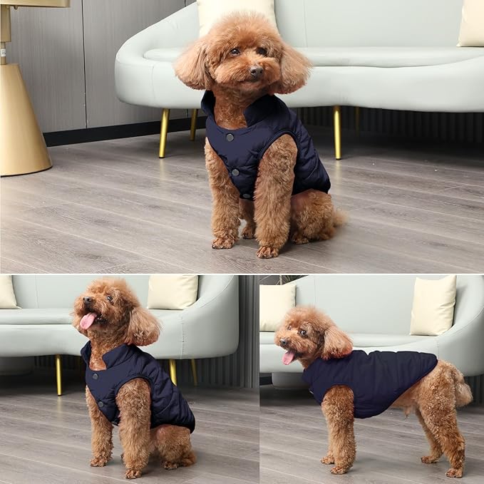 2 Layers Fleece Lined Warm Dog Jacket for Winter Cold Weather,Soft Windproof Large Dog Coat,Blue XXXL