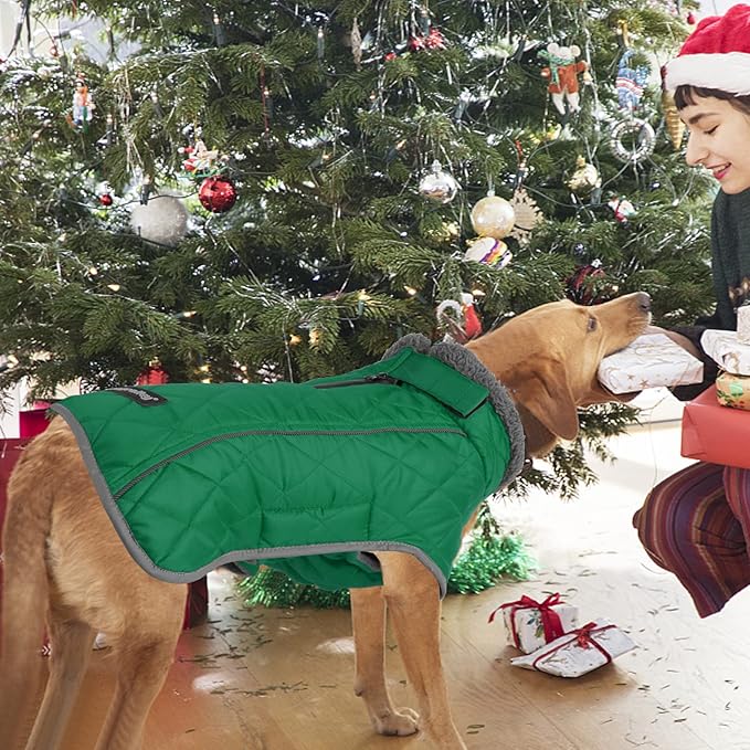 Fragralley Dog Coat Large, Waterproof Dog Jacket with Warm Fleece Lining, Adjustable Reflective Dogs Winter Coat, Turtleneck Pet Coats for Cold Weather (Green XXXL)