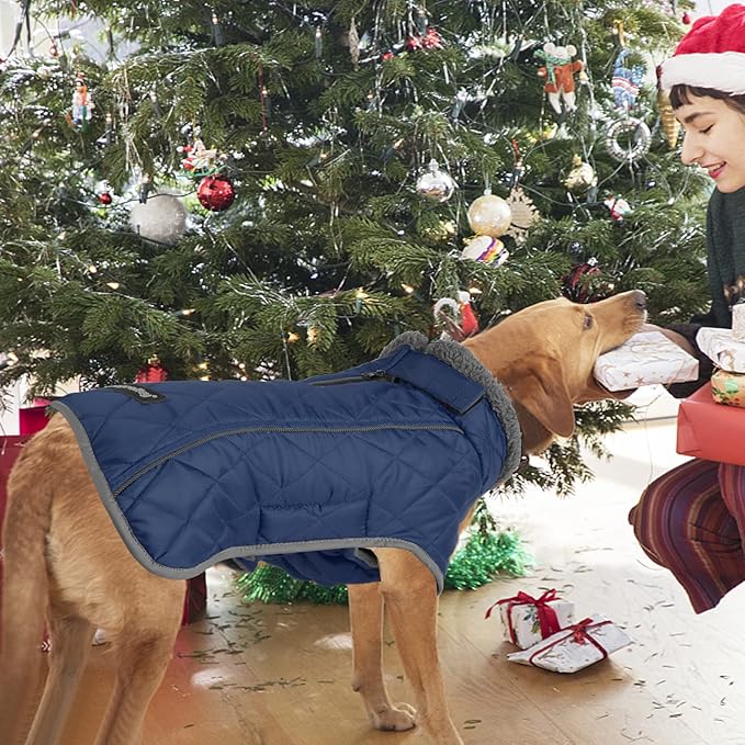 Fragralley Dog Coat Large, Waterproof Dog Jacket with Warm Fleece Lining, Adjustable Reflective Dogs Winter Coat, Turtleneck Pet Coats for Cold Weather (Blue XXL)