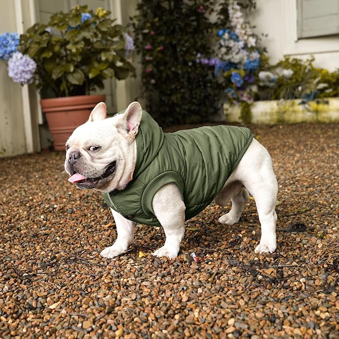 Fleece Lining Extra Warm Dog Hoodie in Winter for Large Dogs Jacket Pet Coats with Hooded Green XL