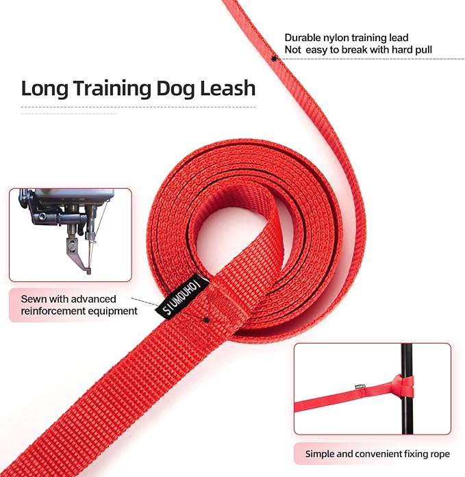 Dog/Puppy Obedience Recall Training Agility Lead - 15ft 20ft 30ft 40ft 50ft Training Leash - Great for Play, Camping, or Backyard - Red 15ft (15Feet, Red)