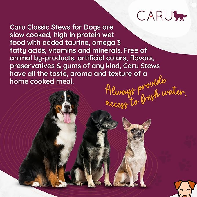 Caru - Classics Pork Stew for Dogs - Healthy Wet Dog Food or Food Topper - Balanced Omega Blend - 12.5 oz Cartons - Pack of 4