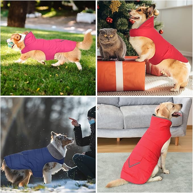 Dog Coat, Waterproof Dog Winter Jacket with Pocket, Reflective Adjustable Pet Snow Vest, Warm Cozy Fleece Sweater for Small Medium Extra Large Dogs - Red, XS