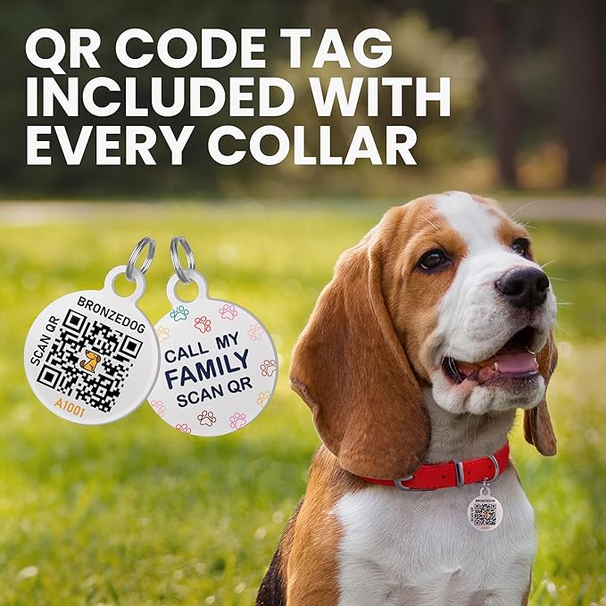 BronzeDog Rolled Leather Dog Collar with QR ID Tag, Adjustable Soft Round Collars for Small Medium Large Dogs Puppy (16" - 19" Neck Size, Turquoise)