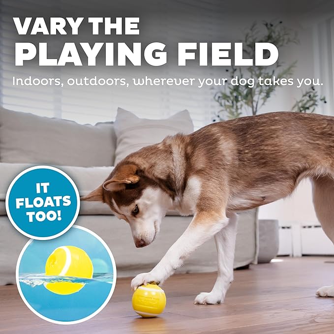 Outward Hound by Planet Dog Sport Ballz Tennis Ball Treat-Dispensing Fetch Ball Dog Toy
