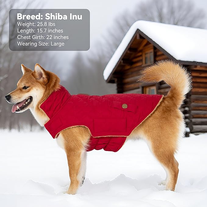 Dog Winter Coat, Warm Dog Jacket Windproof Waterproof Pet Cold Weather Coats for Small Dogs, Turtleneck Fleece Lined Dogs Clothes with Leash Hole, Red Medium