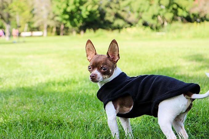 JACKO & CO - Fleece Vest Dog Sweater with Leash Ring - Soft, Warm & Lightweight Pullover Coat for Small & Medium Dogs, Puppies & Cats - Cozy Fall/Winter/Spring Pet Jacket (Black, X-Large 17-25lbs)