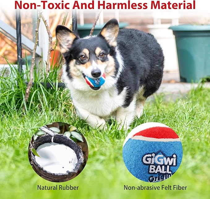Gigwi Tennis Balls for Dogs, Squeaky Dog Tennis Balls for Exercise, High Bouncy Pet Ball Bright Colors 2.5 Inches, Interactive Funny Dog Toys for All Breeds of Dogs Indoor & Outdoor Dog Games, 5 Pack