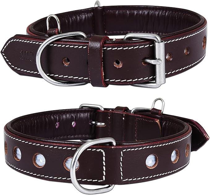 Genuine Leather Reflective Dog Collar | Stellar Series | Safe for Night Walking | Soft, Cushion Padding, Handmade | Best for Small, Medium, Large, XL (X-Large (Fit Neck Size 22"-26"), Garnet)