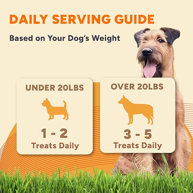 Gaines Family Farmstead Sweet Potato Chews for Dogs - 32 oz Bag, Single Ingredient, Sweet Potato Dog Treats, High Fiber, Grain-Free, Rawhide Alternative, Vitamin-Rich, Made in USA