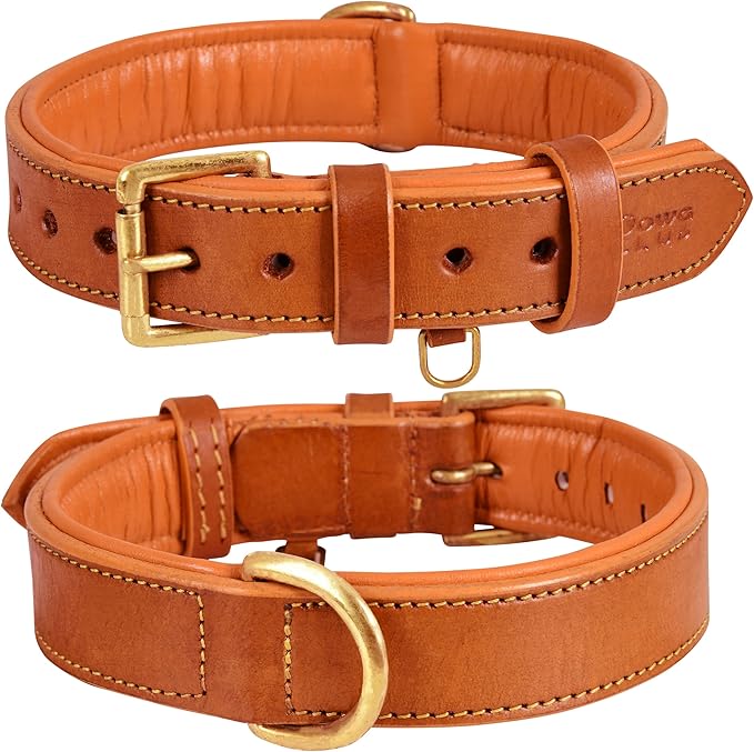 Genuine Leather Dog Collar | Full Grain, Heavy Duty, Comfortable, Padded, Strong | Best for Pups, Small, Medium, Large & XL Breeds (Large (Fit Neck Size 18.5"-22.5"), Tangerine Orange)