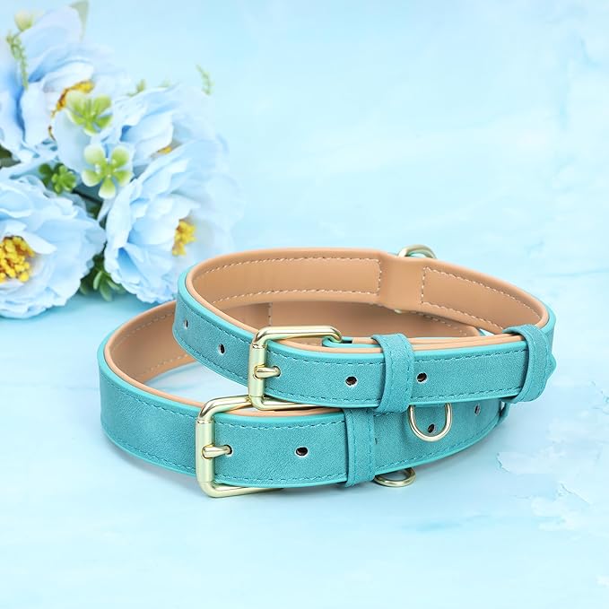 Leather Dog Collar for Small Medium Large Dogs, Soft Padded Dog Leather Collar with Heavy Duty Gold Buckle, Durable & Comfortable for Medium Dogs Daily Walking (Teal, M)