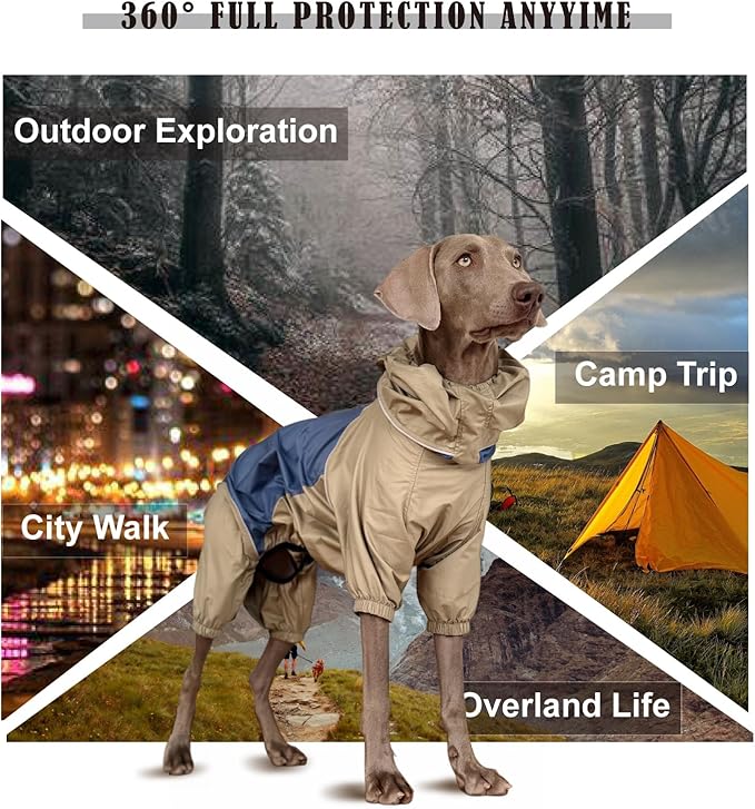 Dog Lightweight Windbreaker, Pet Outdoor Sports Jacket, 0.5 lbs,3 in One, Hooded, Easy on/Off with Collar and Harness, Reflective Piping, Packable, Dog Hiking/Camping, Navy Blue (X-Large)