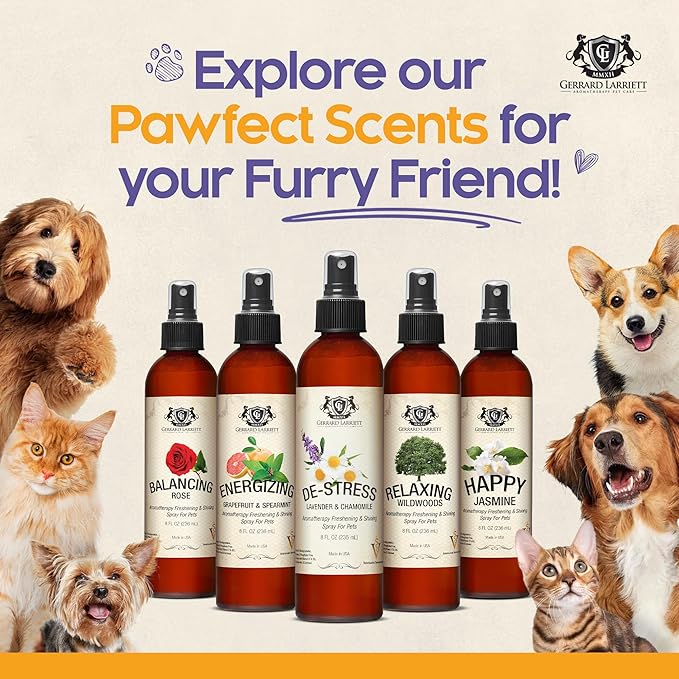 Dog Perfume Spray Long Lasting Chamomile & Lavender 8 Fl Oz, Dog Cologne Spray Long Lasting for Groomers, Calming Deodorizer Perfume for Dogs, Pet Puppy Deodorizing Fragrance by Gerrard Larriett