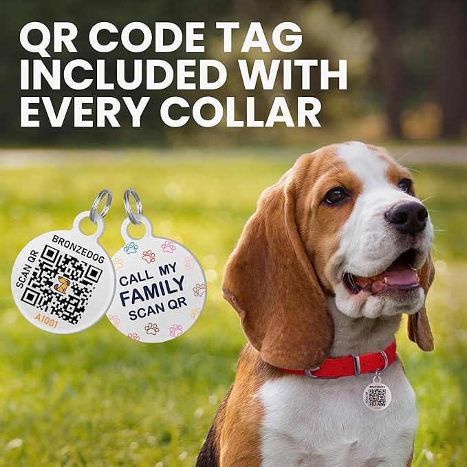 BRONZEDOG Rolled Leather Dog Collar for Small Medium Large Dogs with QR ID Tag (S: 12-14 Inch, Ocean Blue)