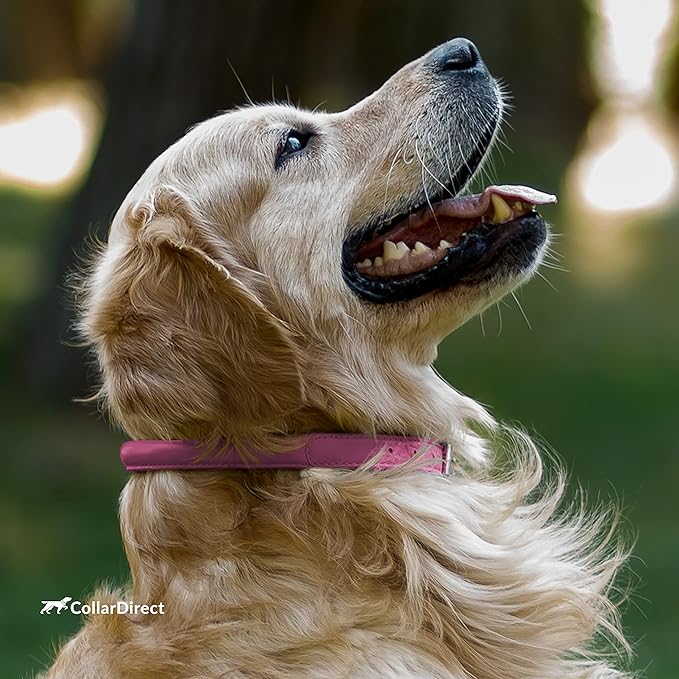 CollarDirect Rolled Leather Dog Collar, Soft Padded Round Puppy Collar, Handmade Genuine Leather Collar Dog Small Large Cat Collars 13 Colors (11-14 Inch, Pink Textured)